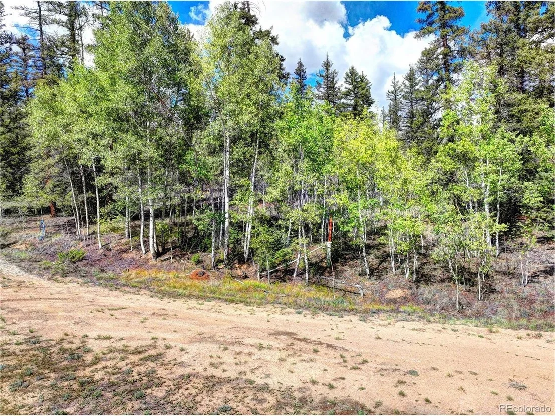 Photo of 75 Swiggler Rd