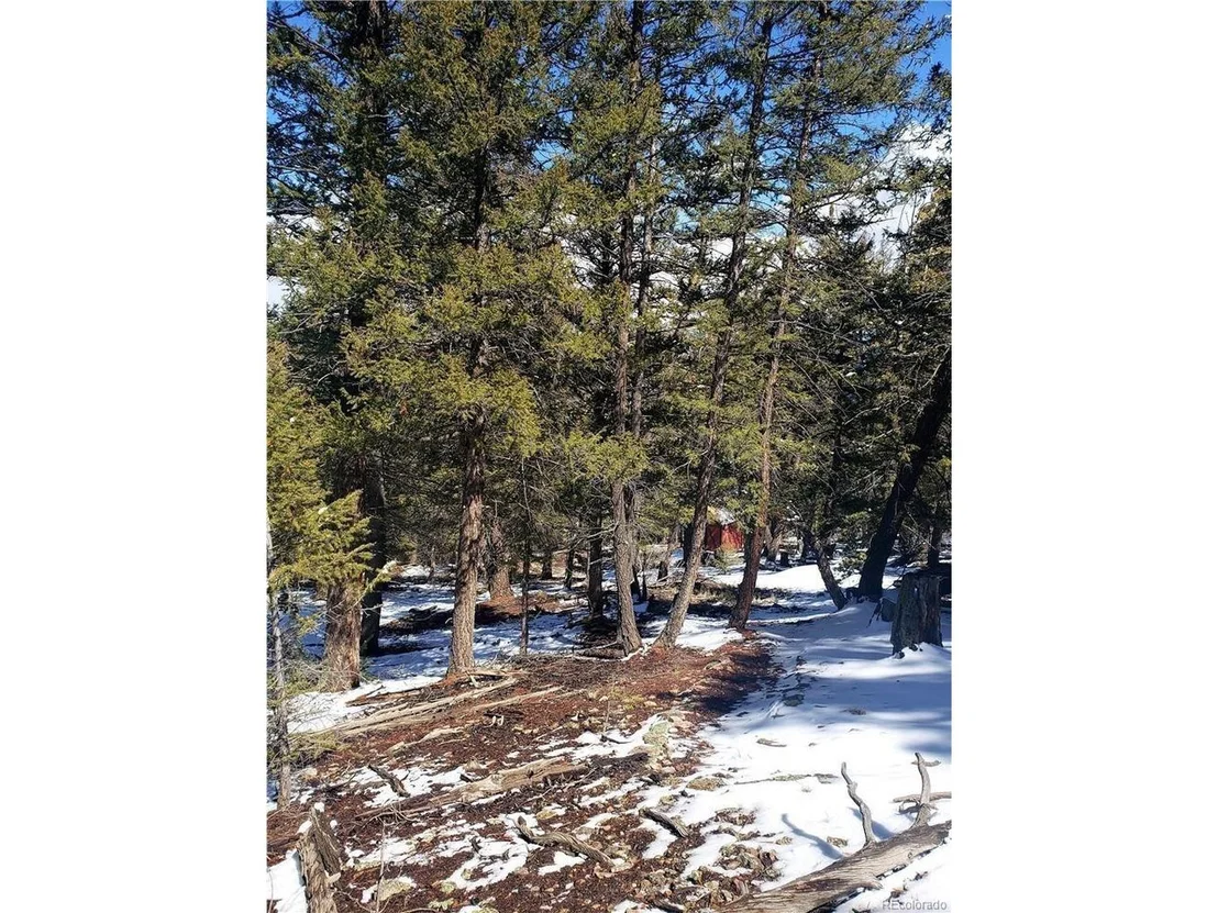 Photo of Middle Fork Vis