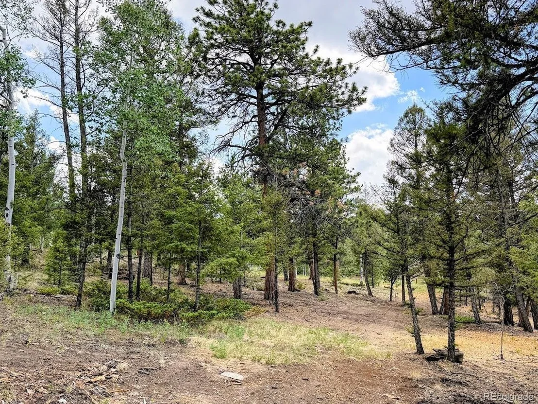 Photo of 1789 Bellows Rd
