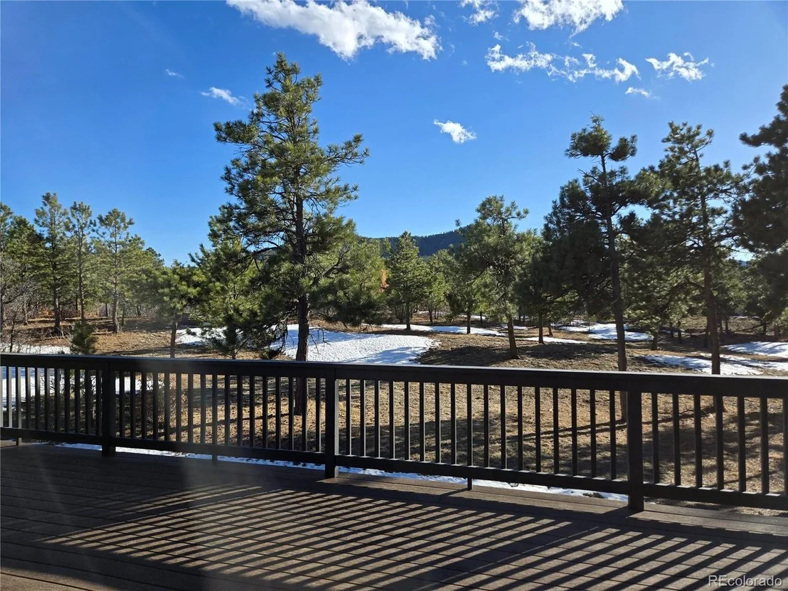 Photo of 1298 Silverheels Dr