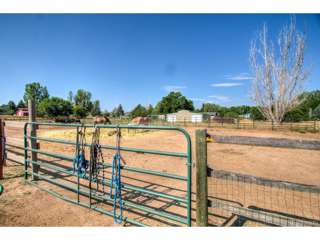 Photo of 1721 Chaparro Cir
