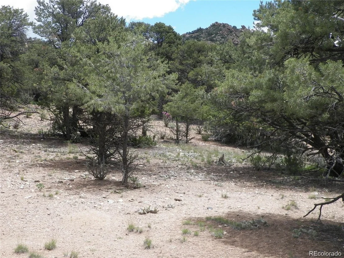 Photo of TBD
