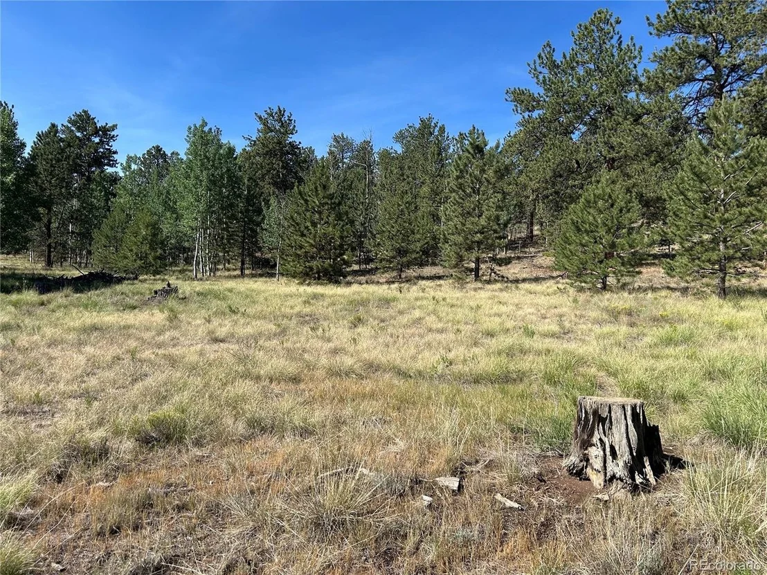 Photo of 565 Hayhook Way