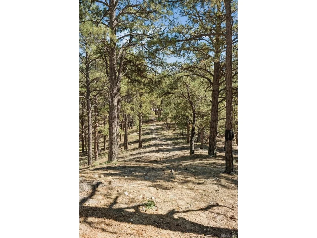 Photo of 17170 Lodgepole Rd