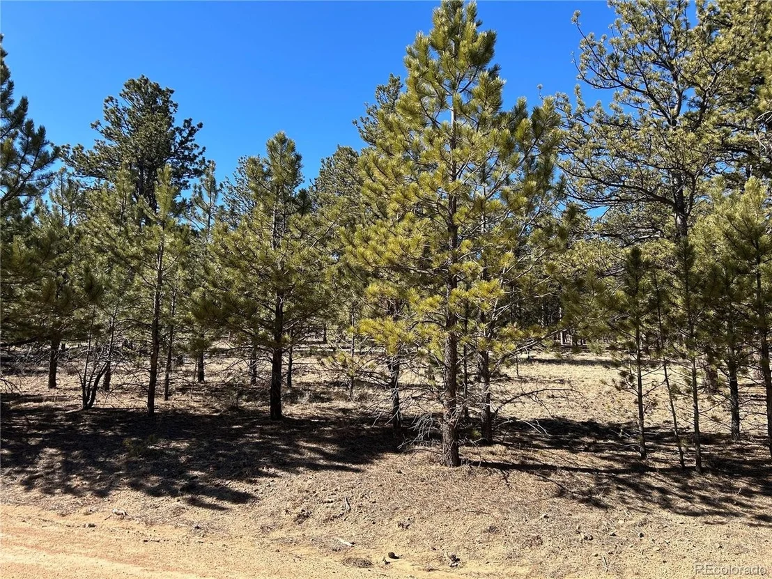 Photo of 147 Haystack Rd