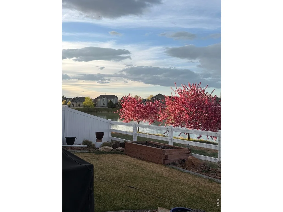 Photo of 551 Vermilion Peak Dr