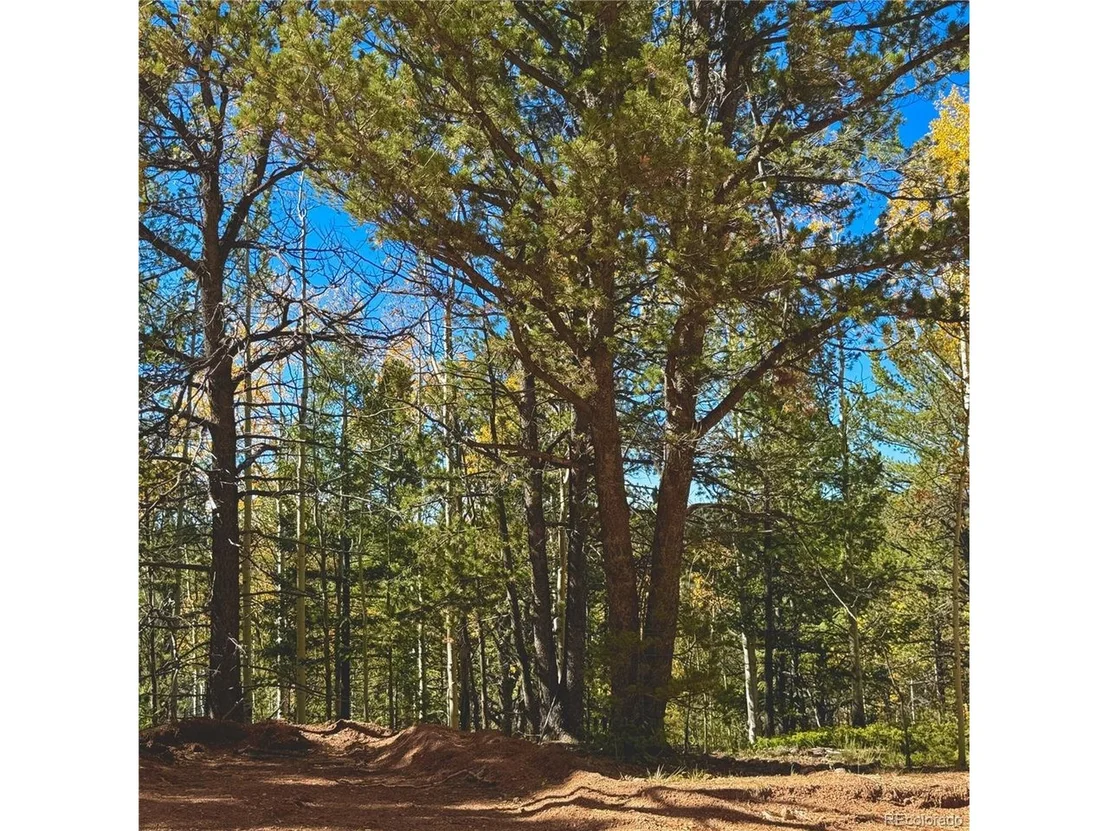 Photo of 773 Timber Ridge Rd