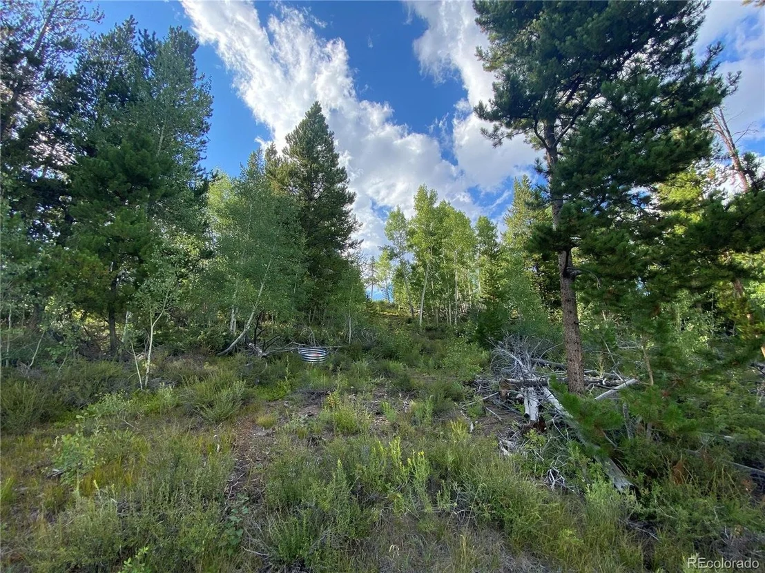Photo of 226 County Road 863