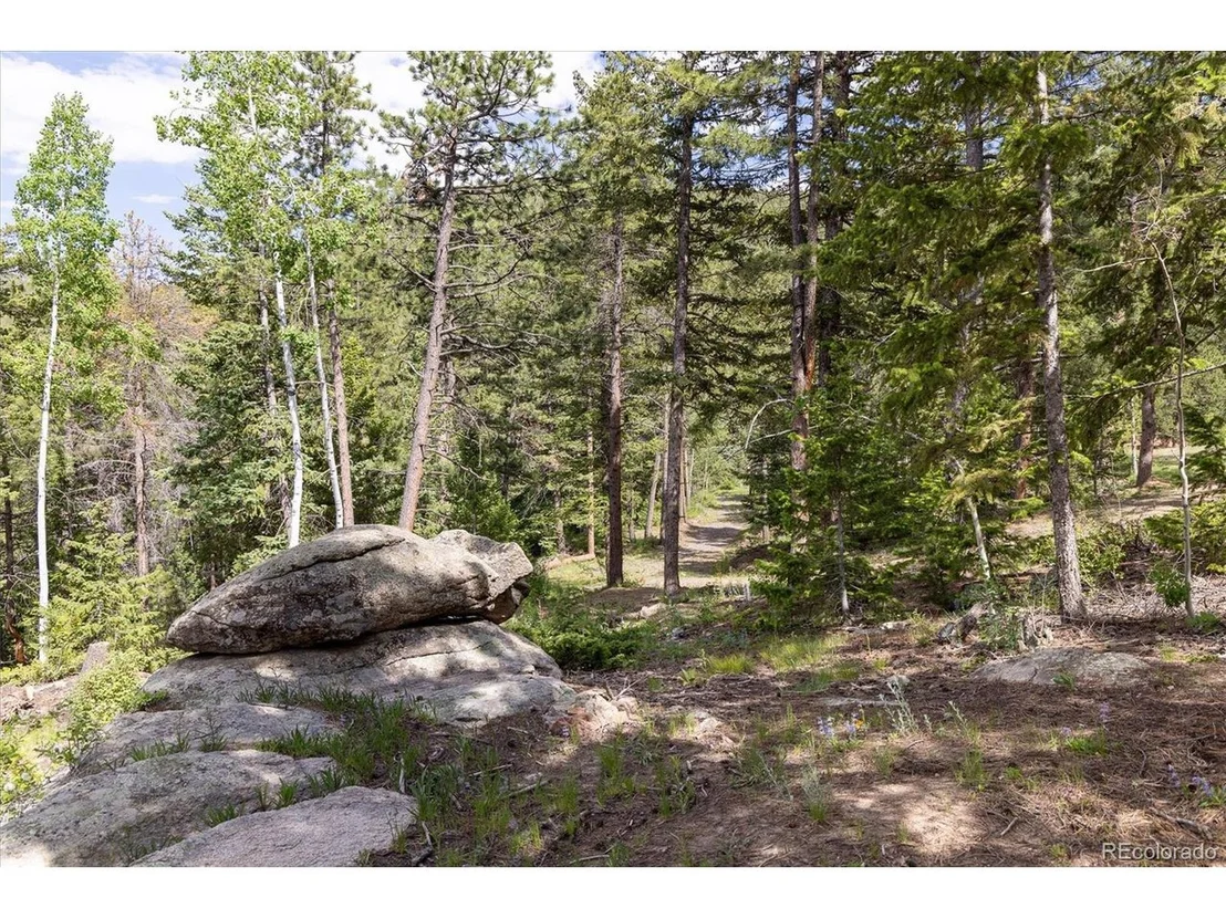 Photo of 31429 Burke Rd