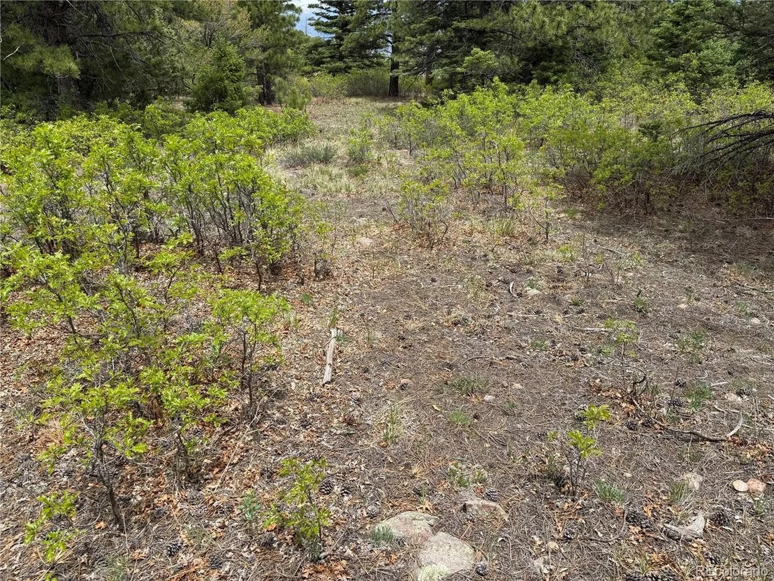 Photo of Knotty Pine Rd