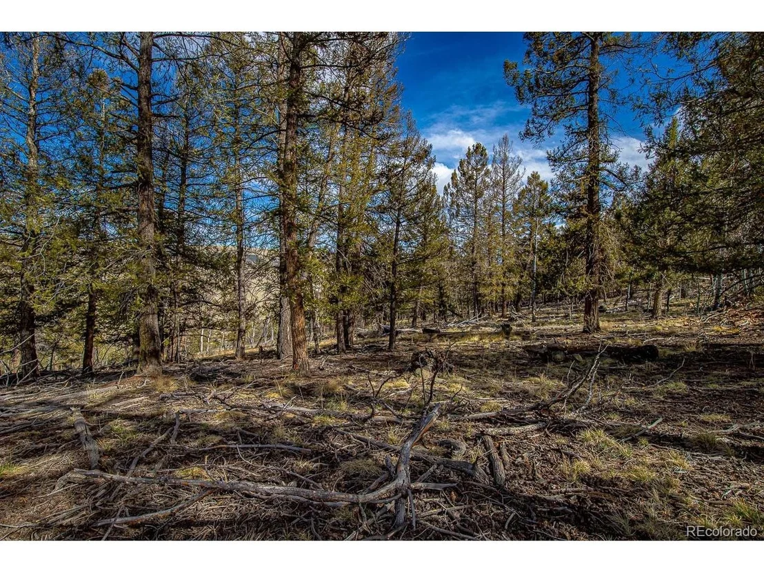 Photo of 5302 Middle Fork Vis