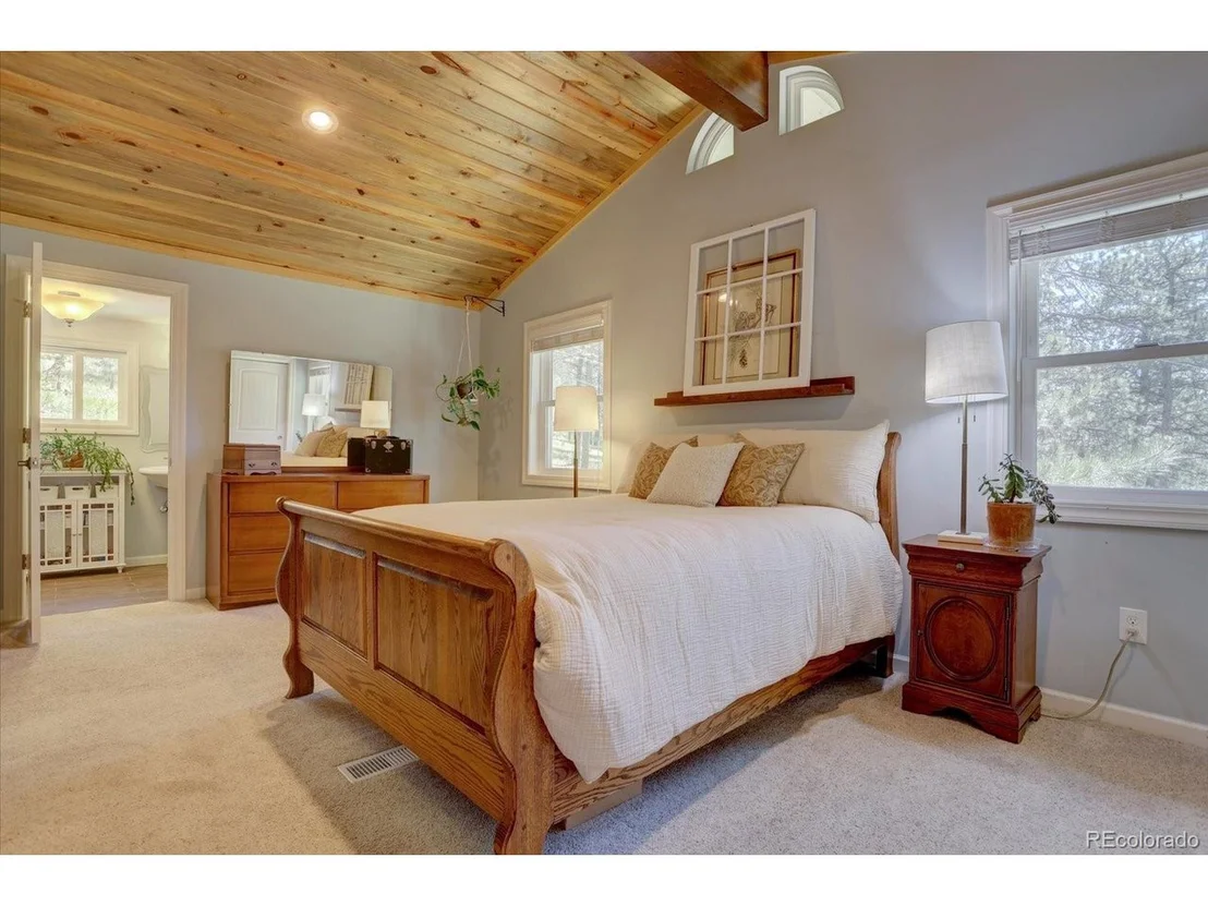 Photo of 29577 Larkspur
