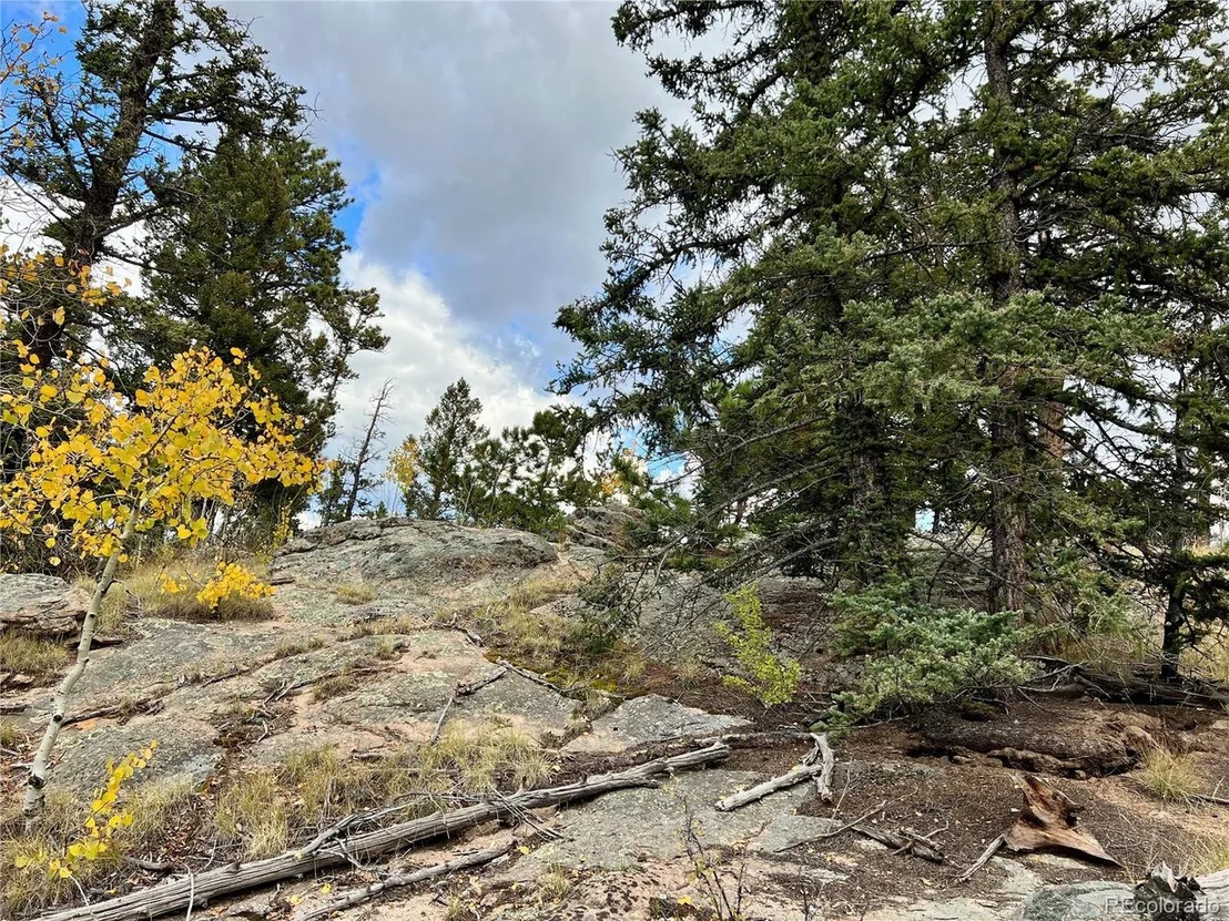 Photo of 791 Haida Ln