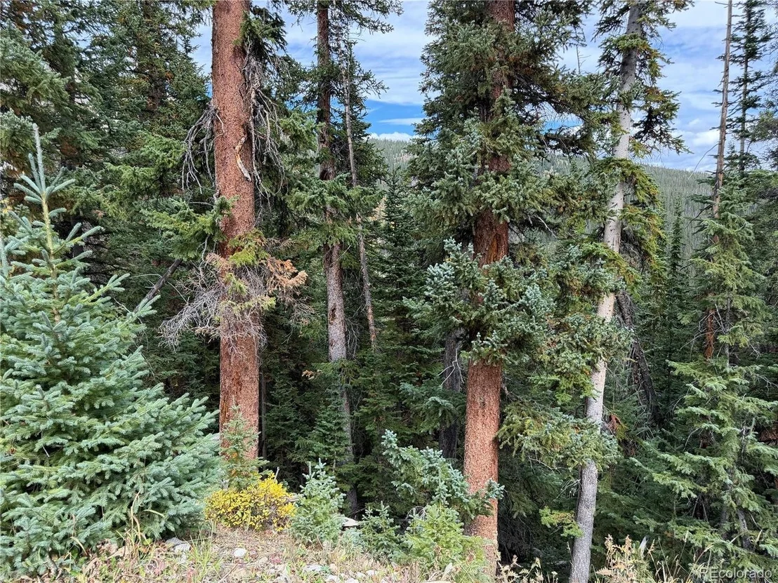 Photo of 605 CR 805