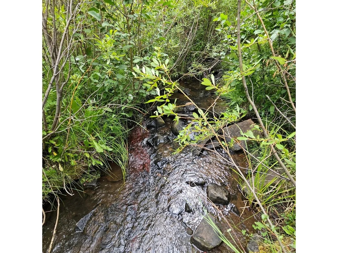 Photo of 75 County Road 1932