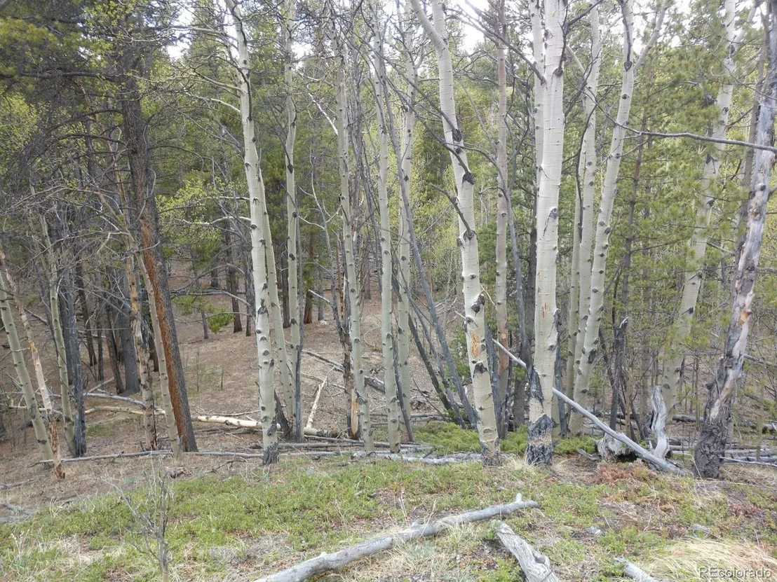Photo of 317 Ski Doo Rd