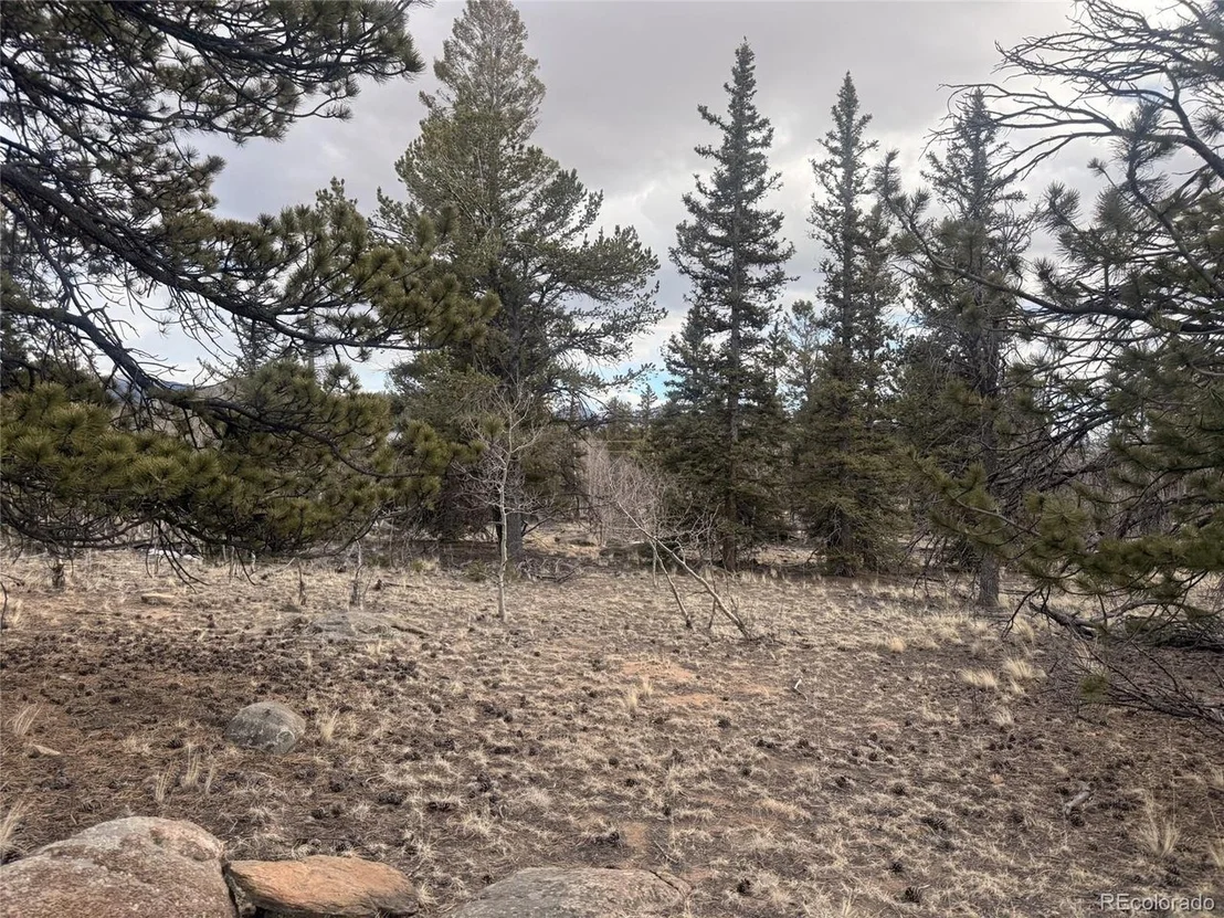 Photo of 837 Concord Dr