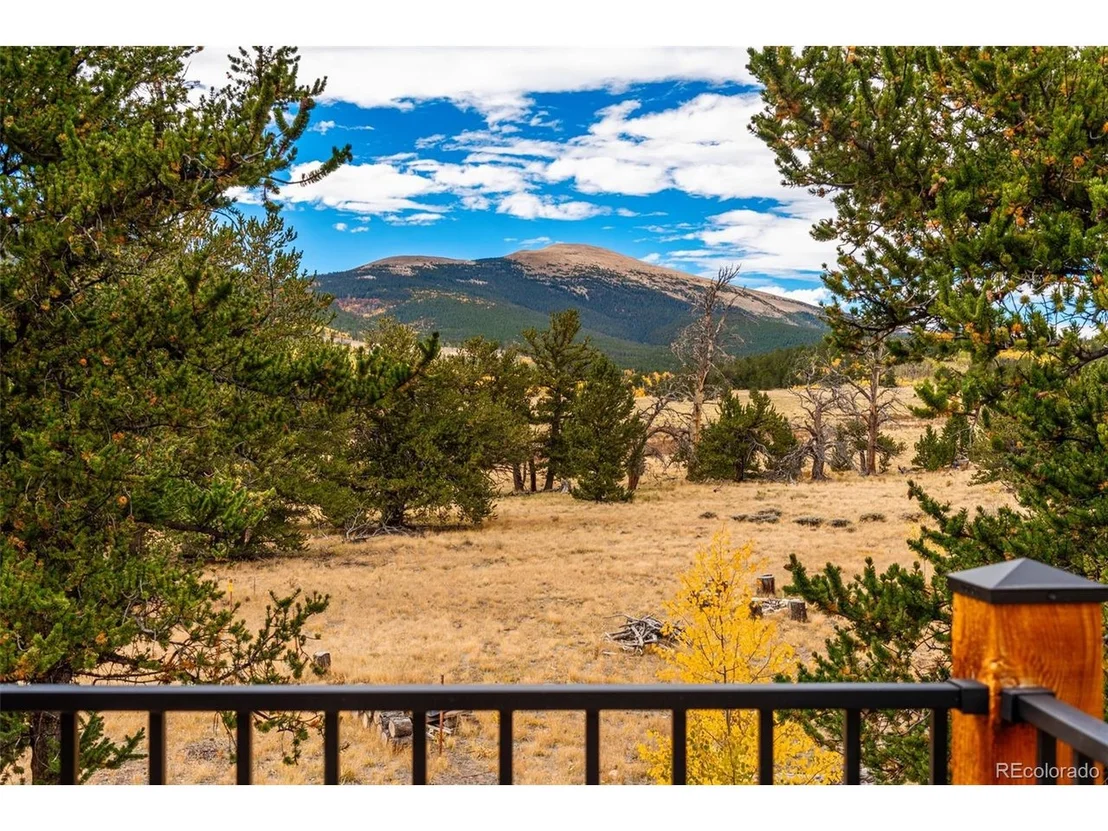 Photo of 49 Stellar Jay Way