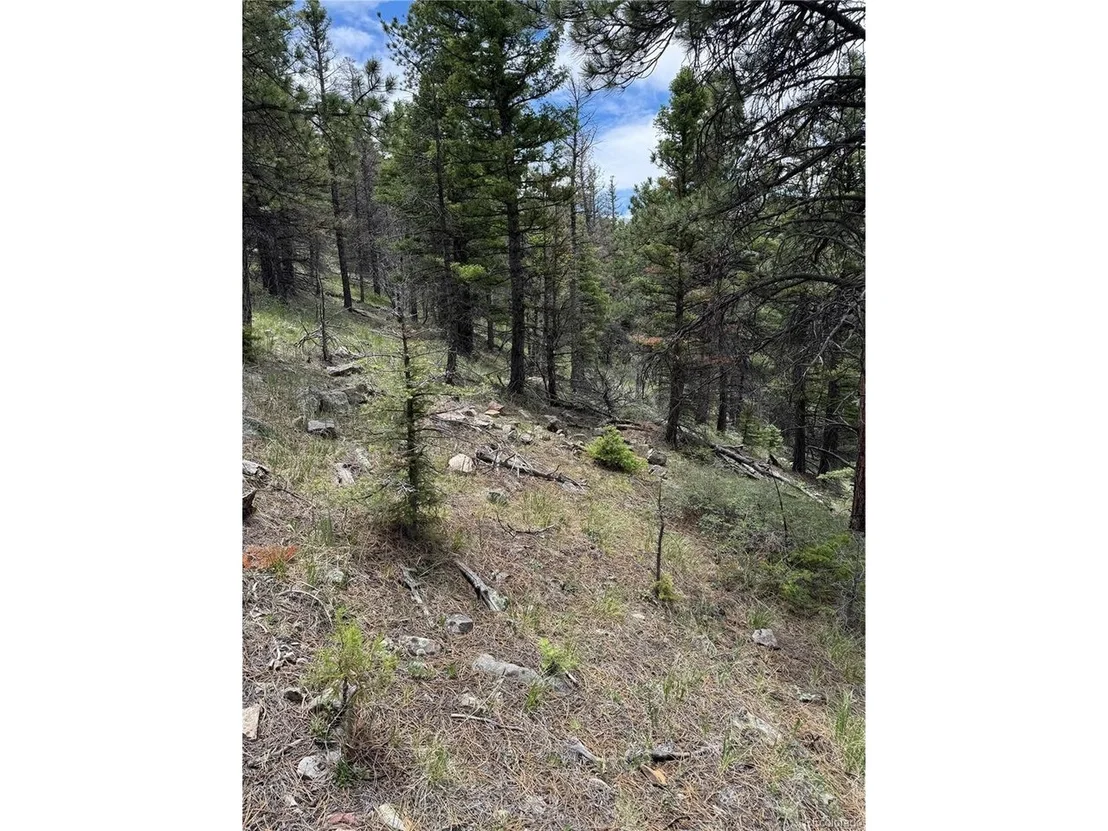 Photo of Knotty Pine Rd