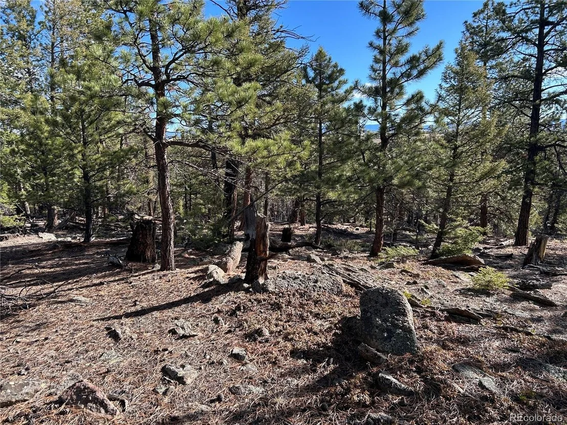 Photo of 1581 Bellows Rd