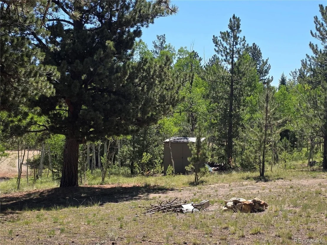 Photo of 1080 Brahma Cir