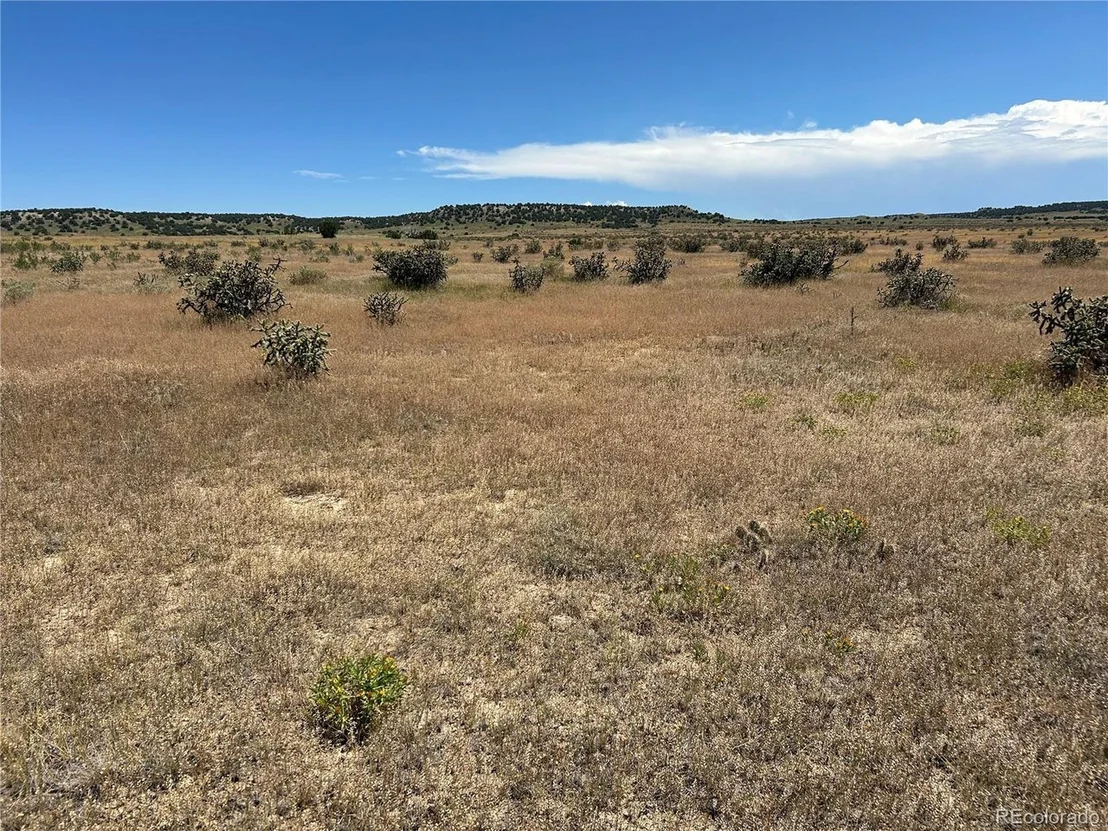 Photo of 4 Outback Ranch
