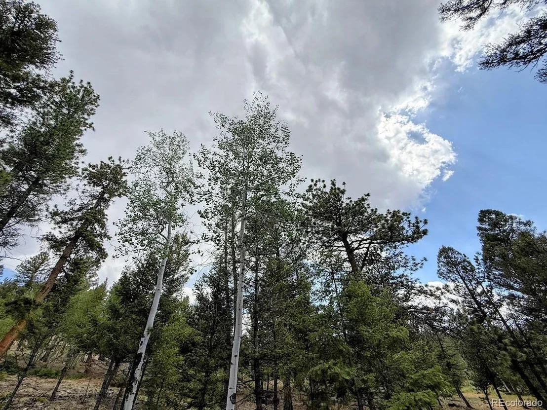Photo of 1789 Bellows Rd