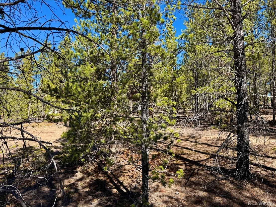 Photo of 360 Peak View Dr