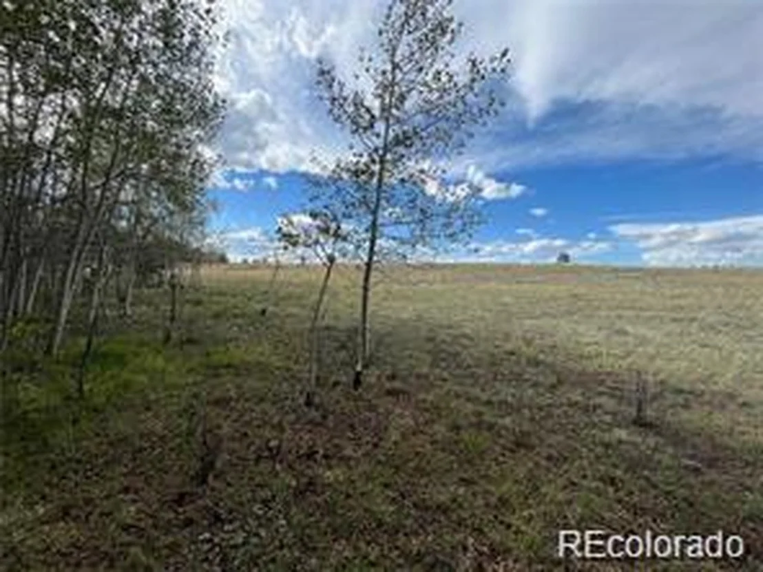 Photo of 1599 Campfire Rd