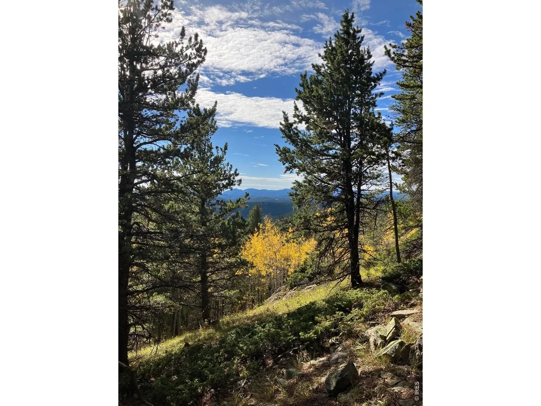 Photo of 1199 Brainard Lake Rd