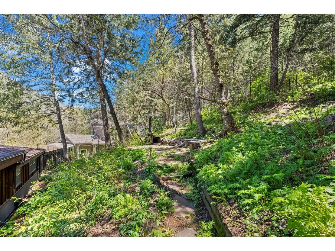 Photo of 41 Silver Spruce