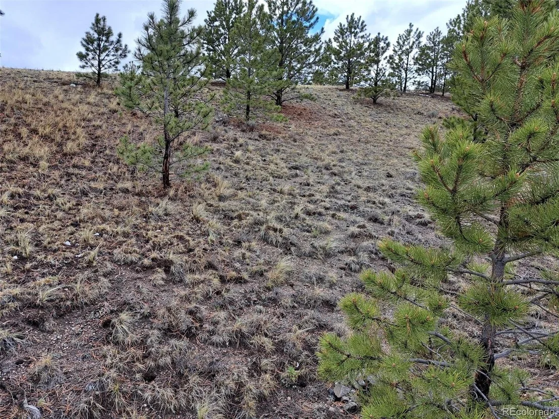 Photo of 783 Remuda