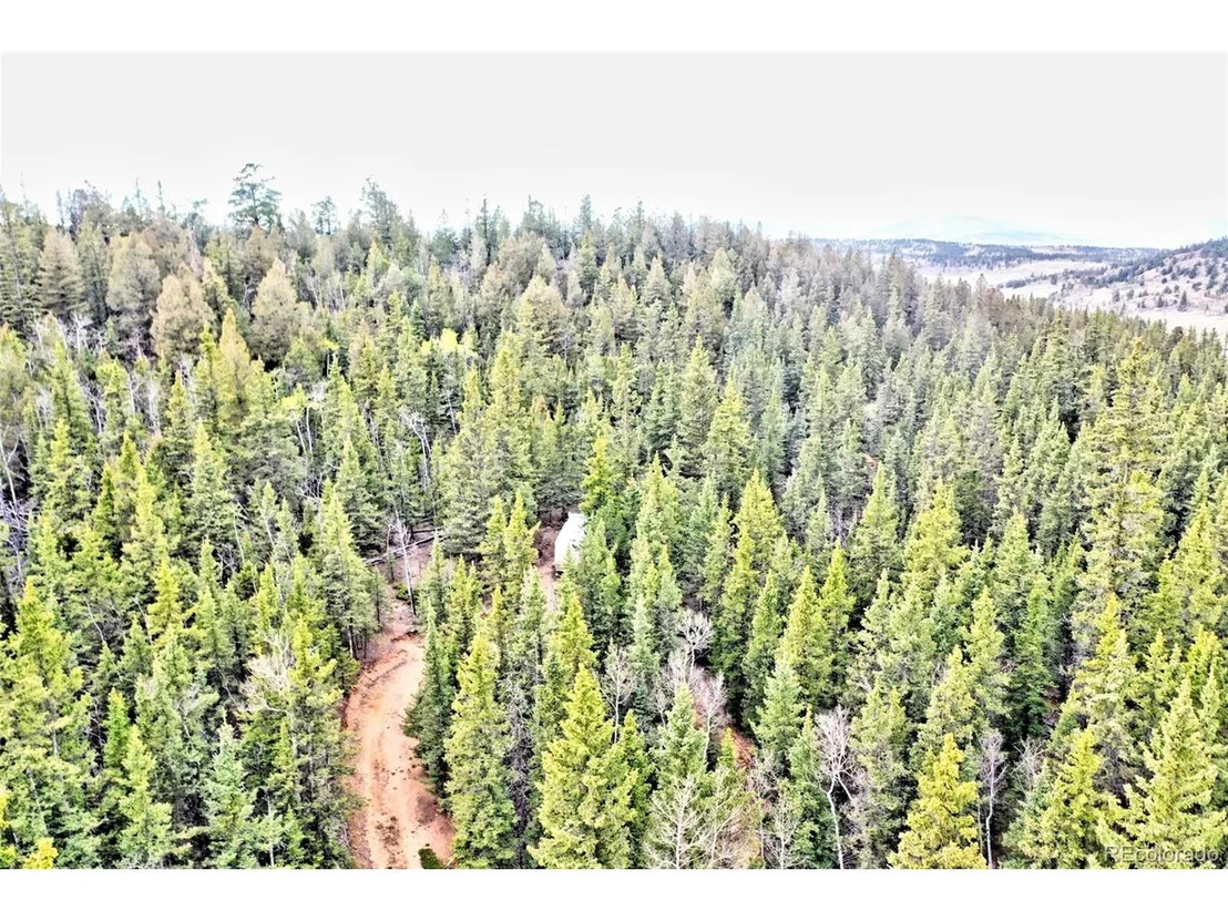 Photo of 243 Bear Way