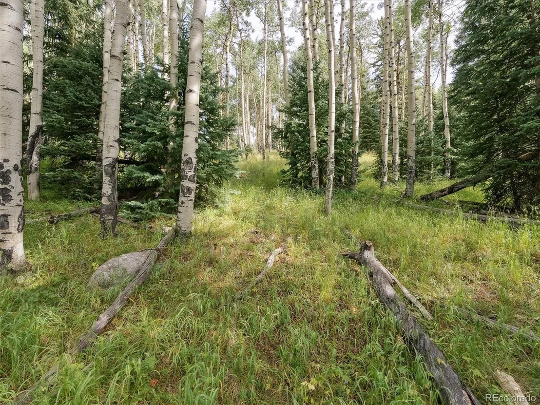 Photo of 0 Snyder Mountain Rd