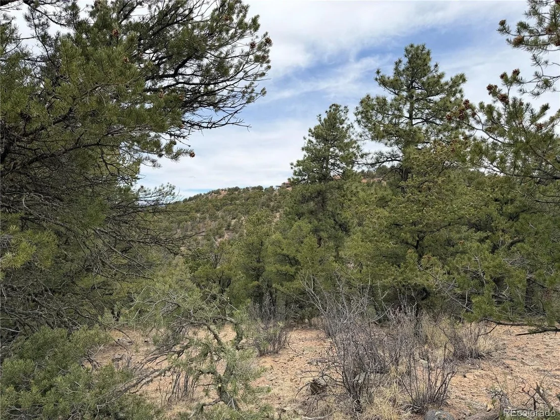 Photo of 672 Coyote Run Trl