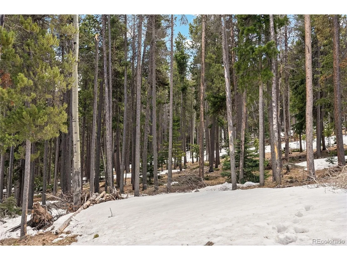 Photo of 1123 Lodgepole Dr