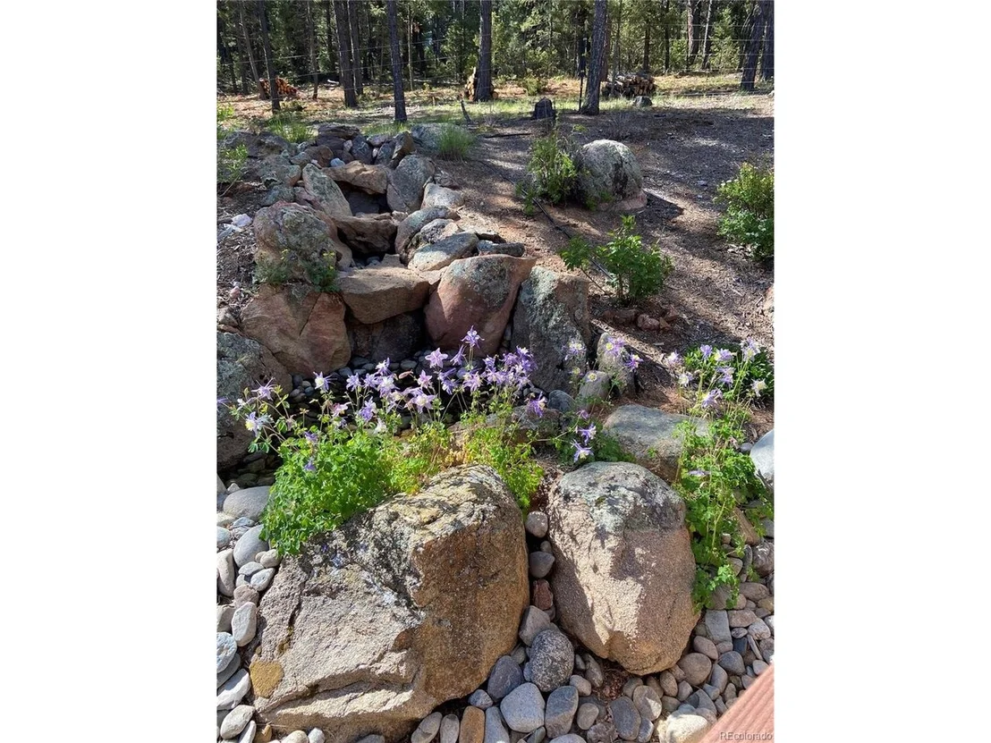 Photo of 186 Territory Dr