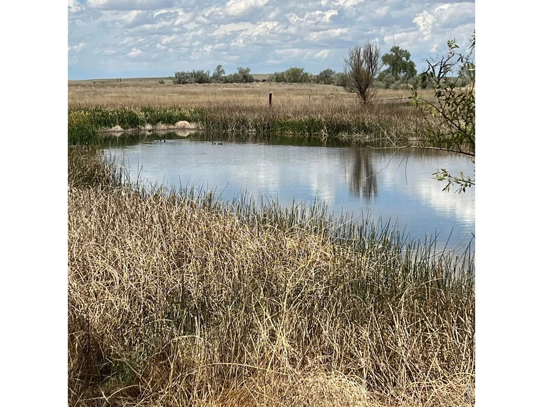 Photo of 26247 County Road 2