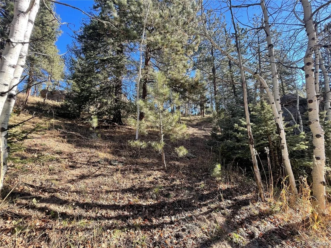 Photo of Shadow Mountain Dr