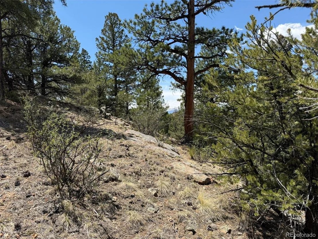 Photo of 477 Bear Peak Rd