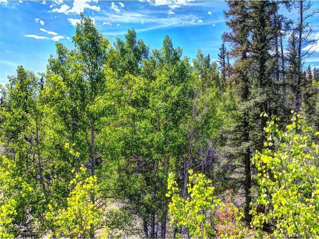 Photo of 75 Swiggler Rd