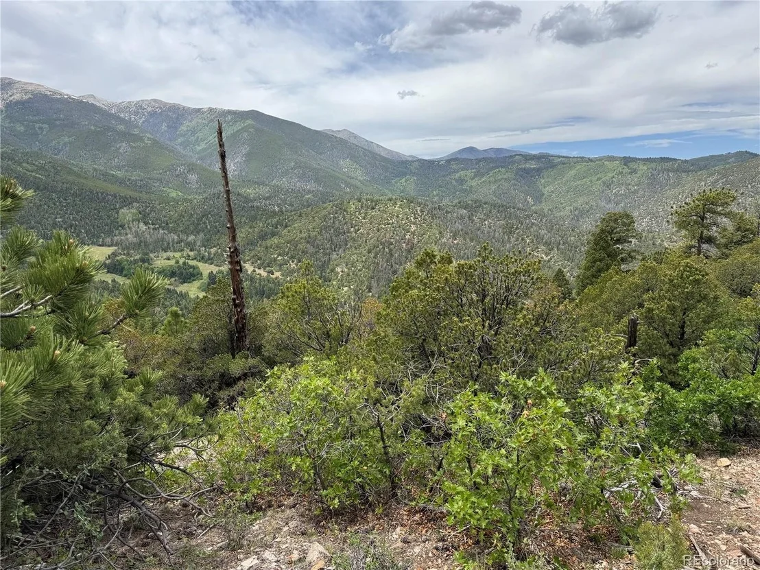 Photo of Knotty Pine Rd