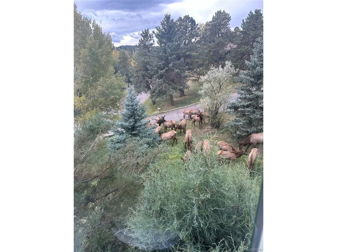 Photo of 21946 Panorama Dr