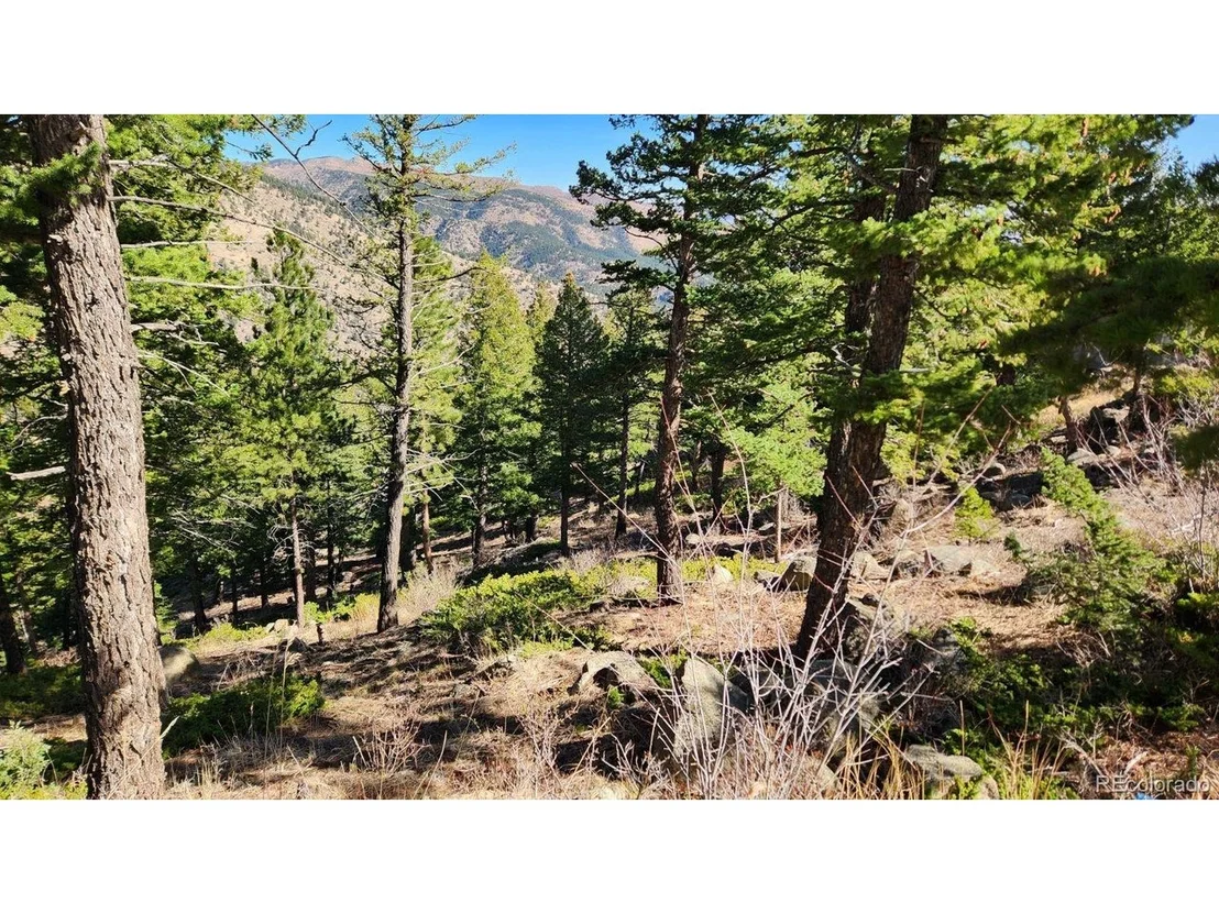 Photo of 347 Deer Trail Cir