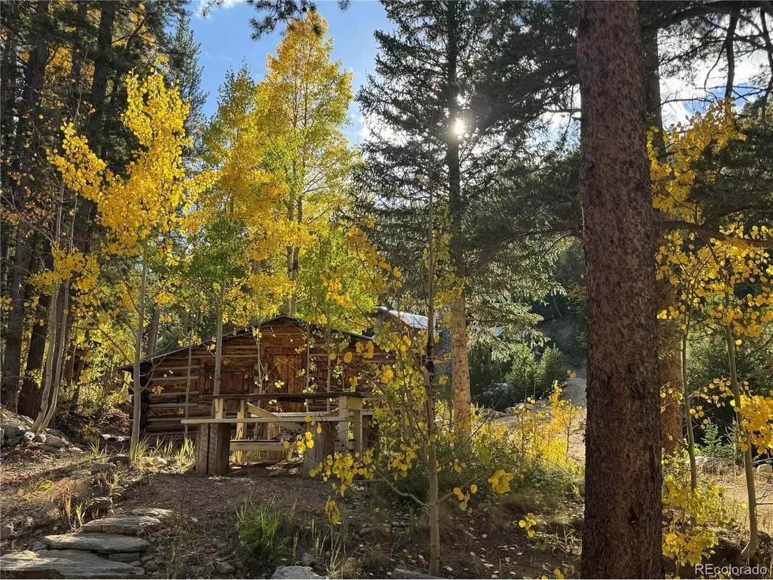 Photo of 1430 Lower Travis Gulch Rd
