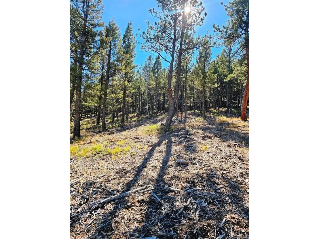 Photo of 1504 County Road 43