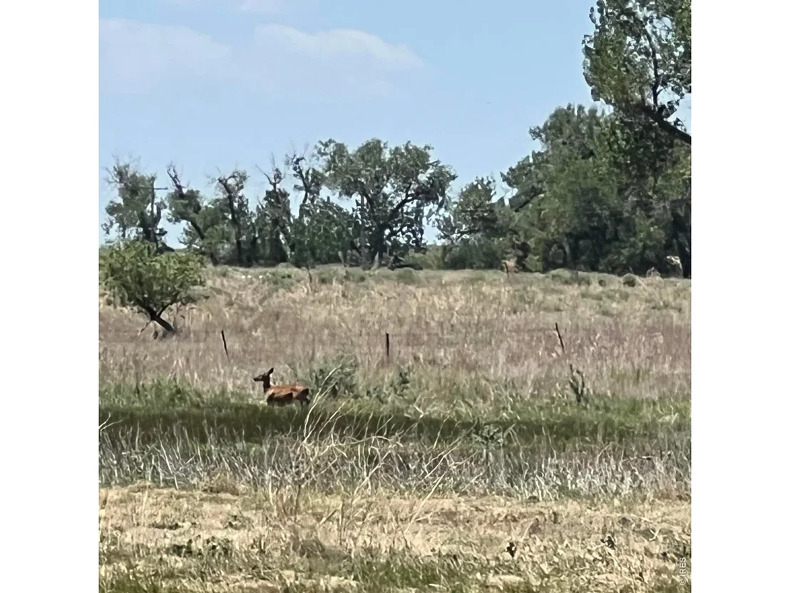 Photo of 26247 County Road 2
