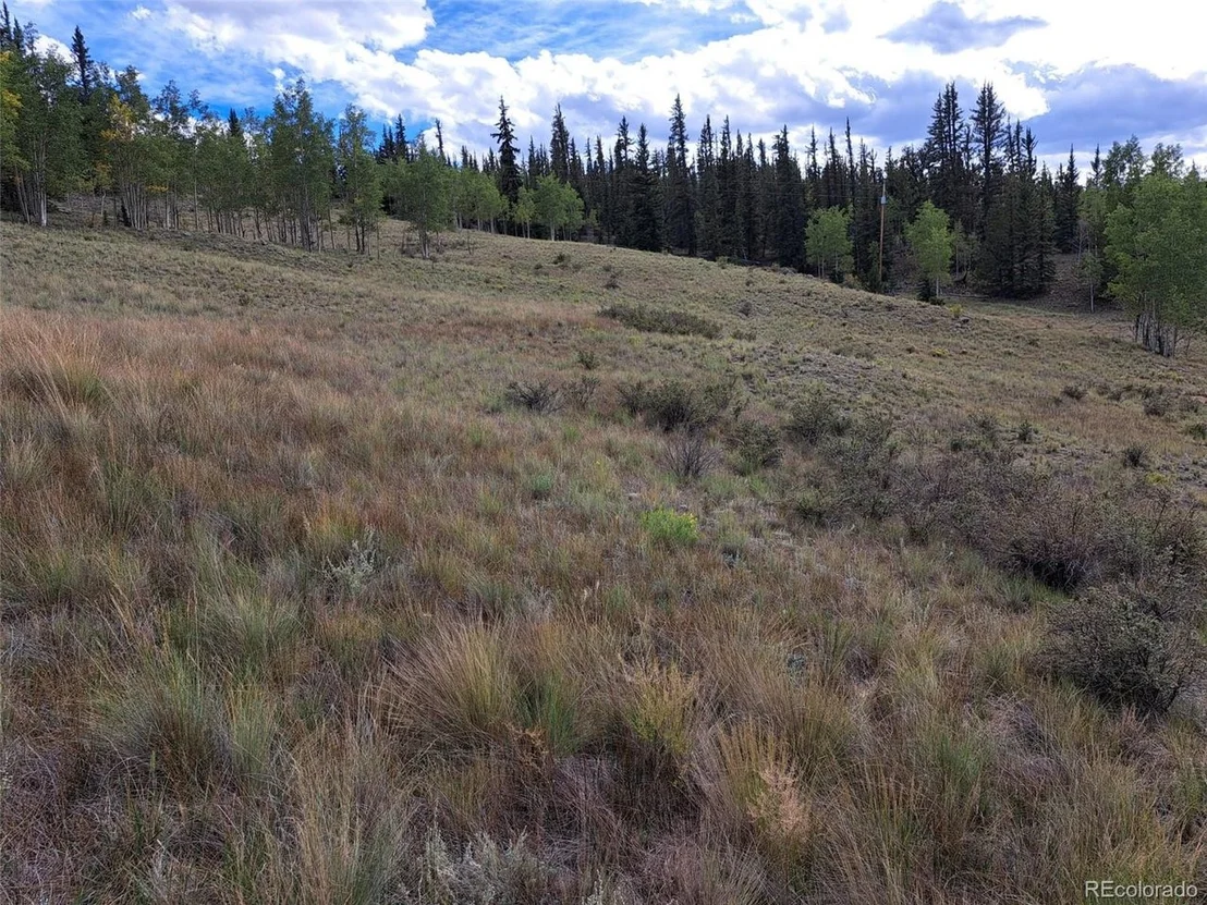 Photo of 736 Stagestop Rd