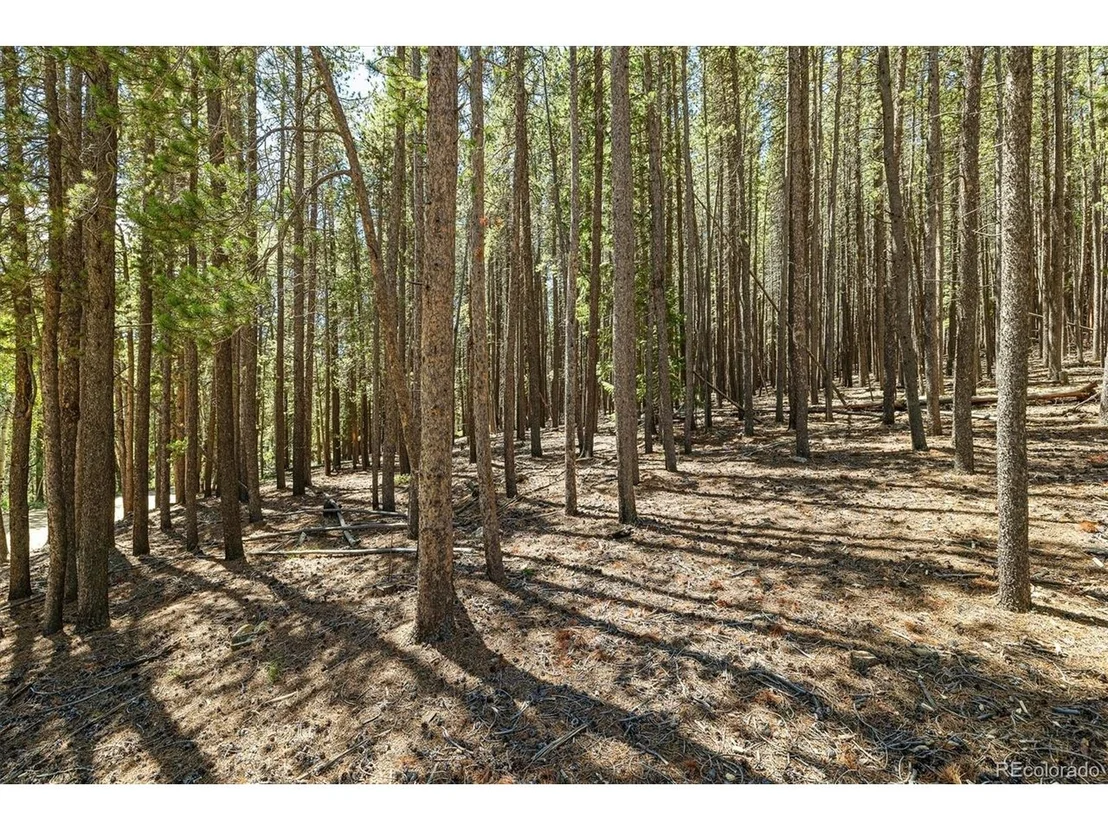 Photo of 0 Spruce Way