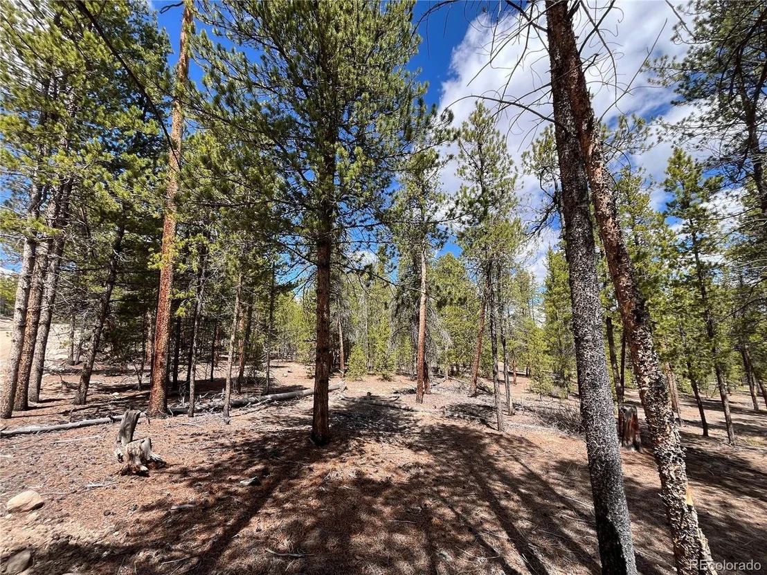 Photo of 1013 Sequoia Dr
